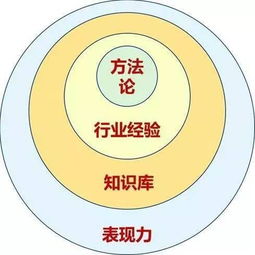 顾问的苦与乐 咨询行业一瞥